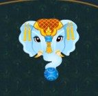 Zuma India